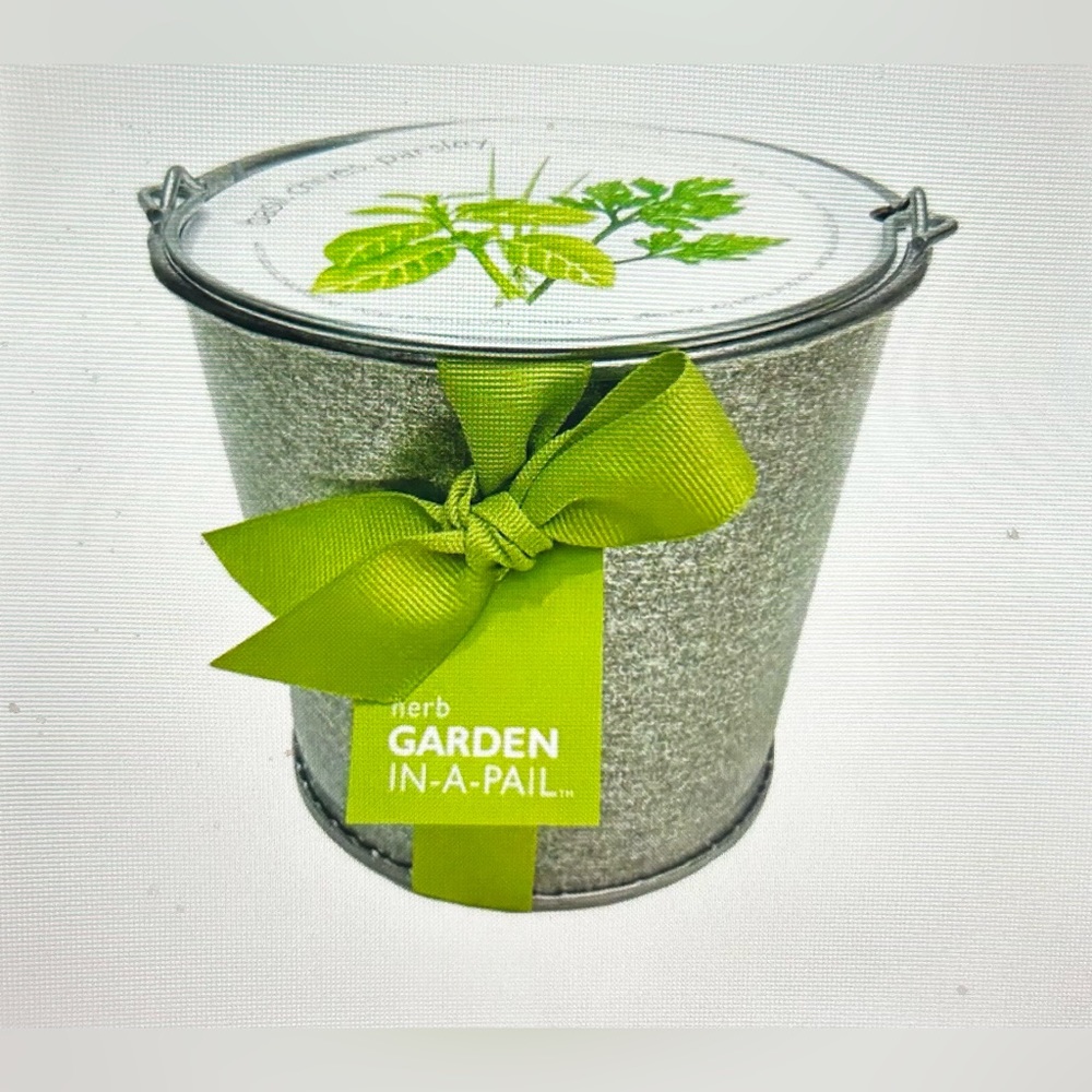 Herb Garden in a Pail by Potting Shed